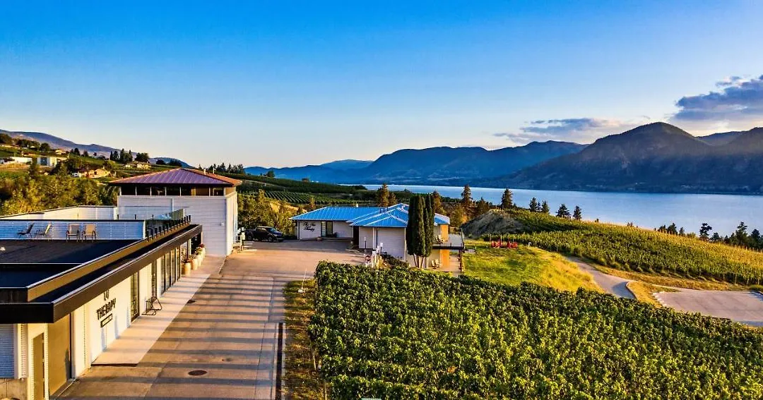 The Inn At Therapy Vineyards-1